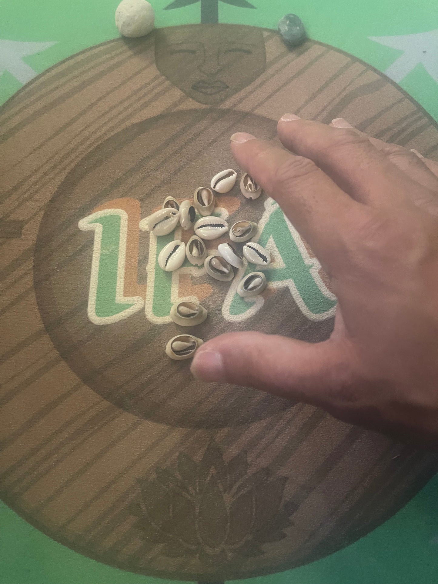 Merindilogun ÒRÌSÀ/Orisha Yoruba 16 Cowries Divination