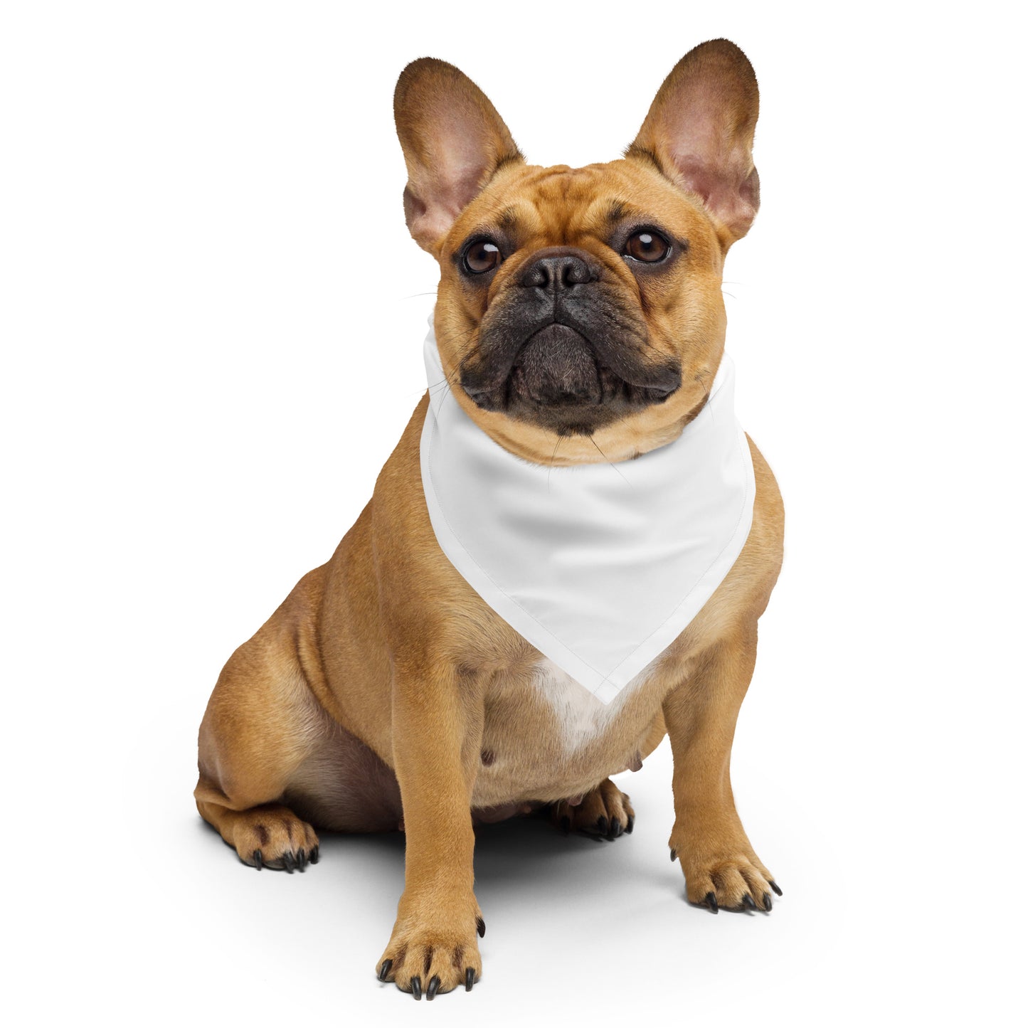 Babalawo Isese White bandana