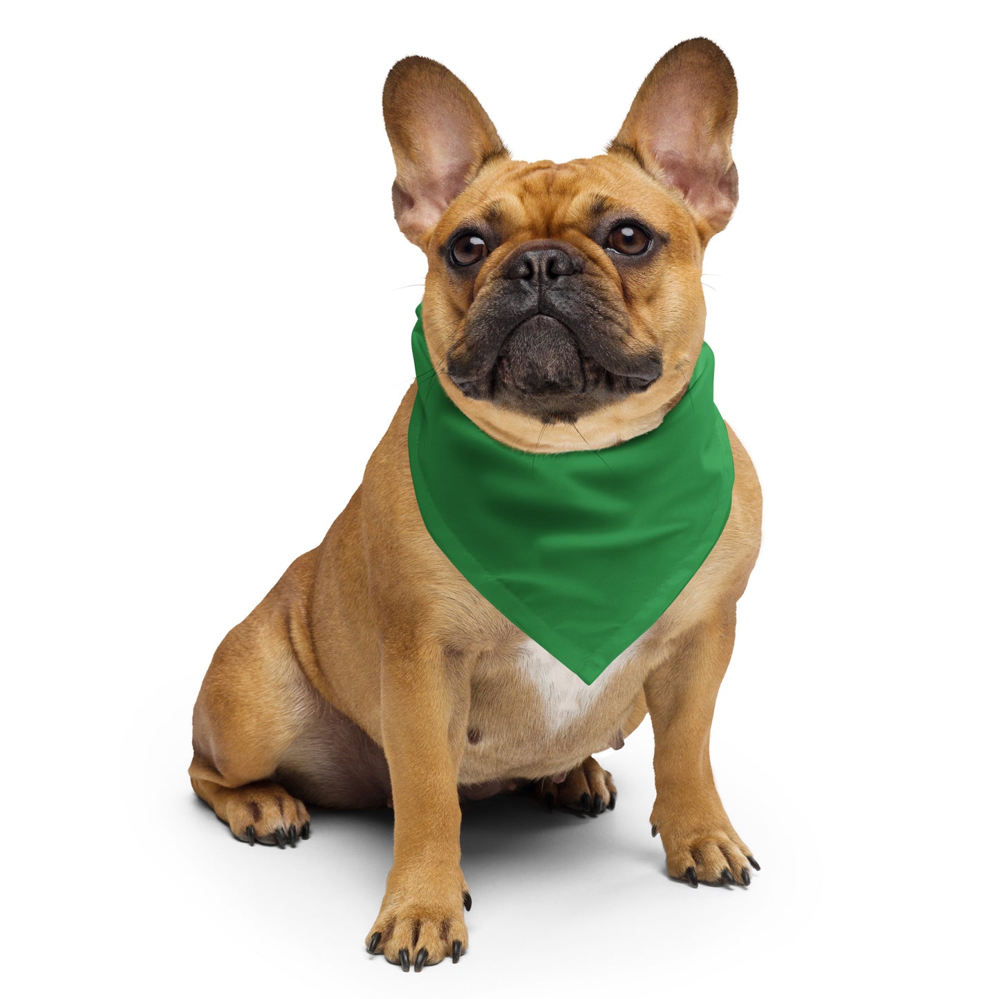 Babalawo Isese Green All-over print bandana