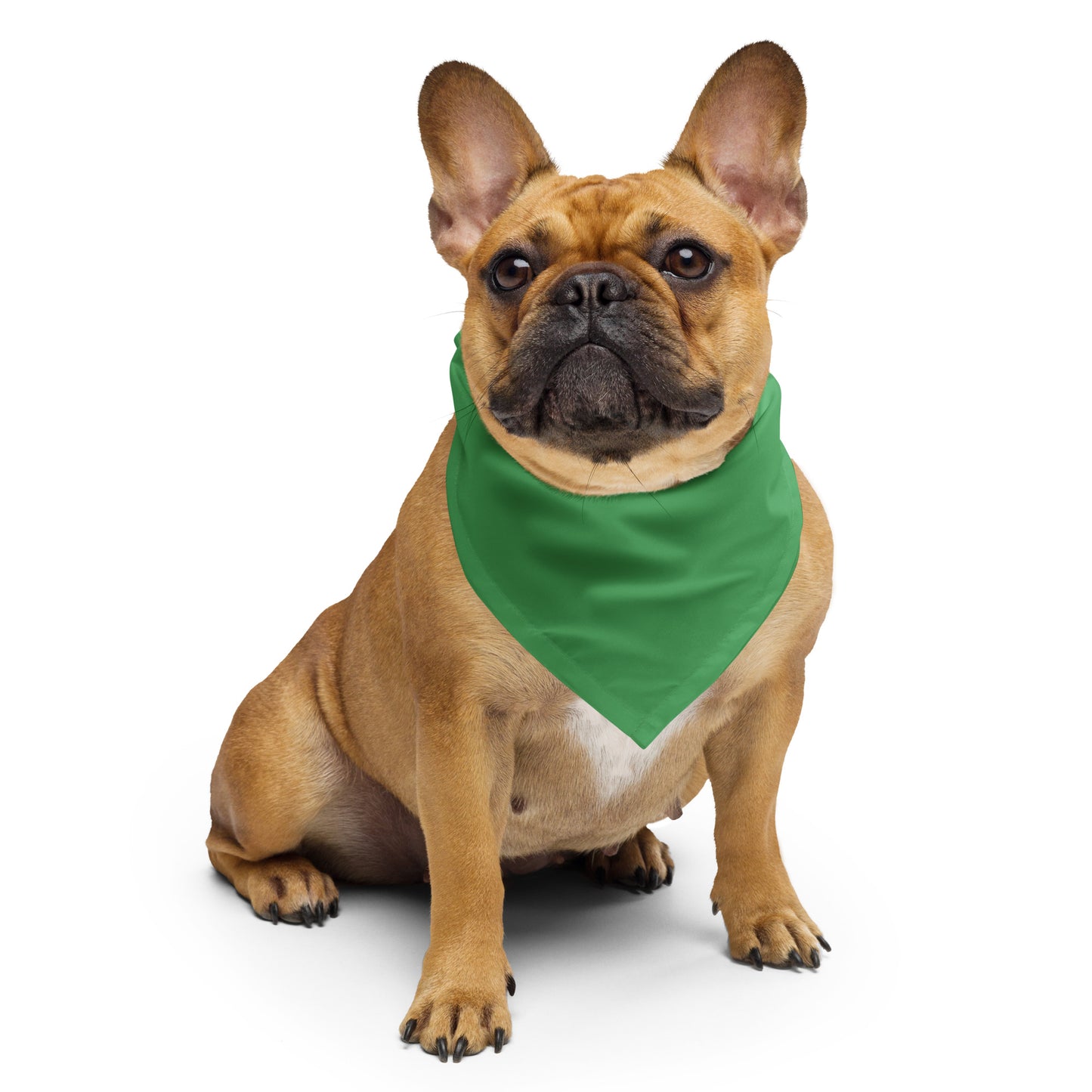 Oluwo Isese Green bandana