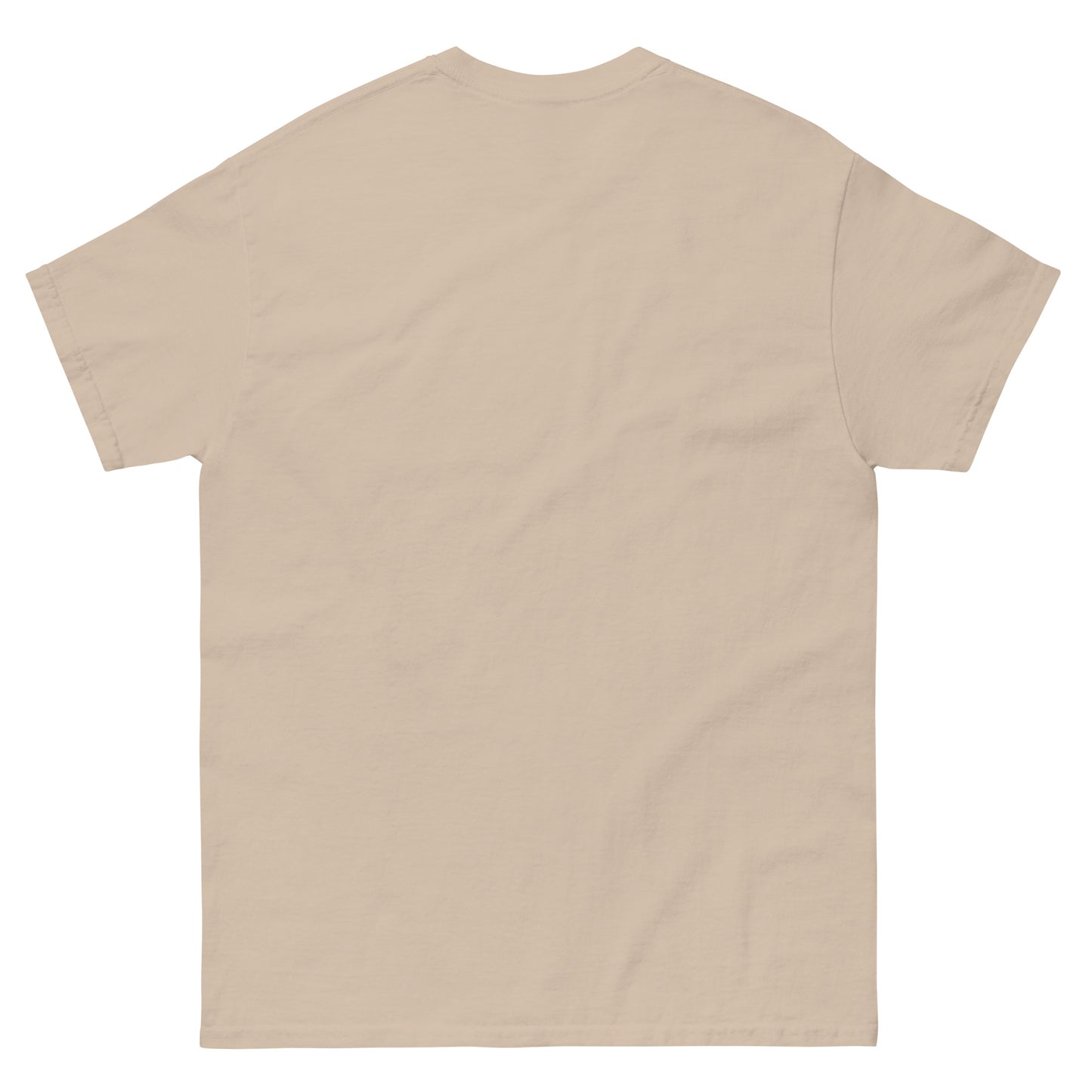 In Christ Men's classic tee