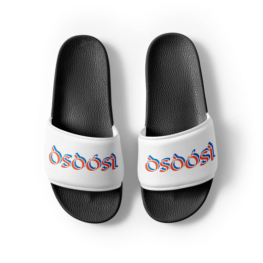 Osoosi 1 Reverse Men’s slides