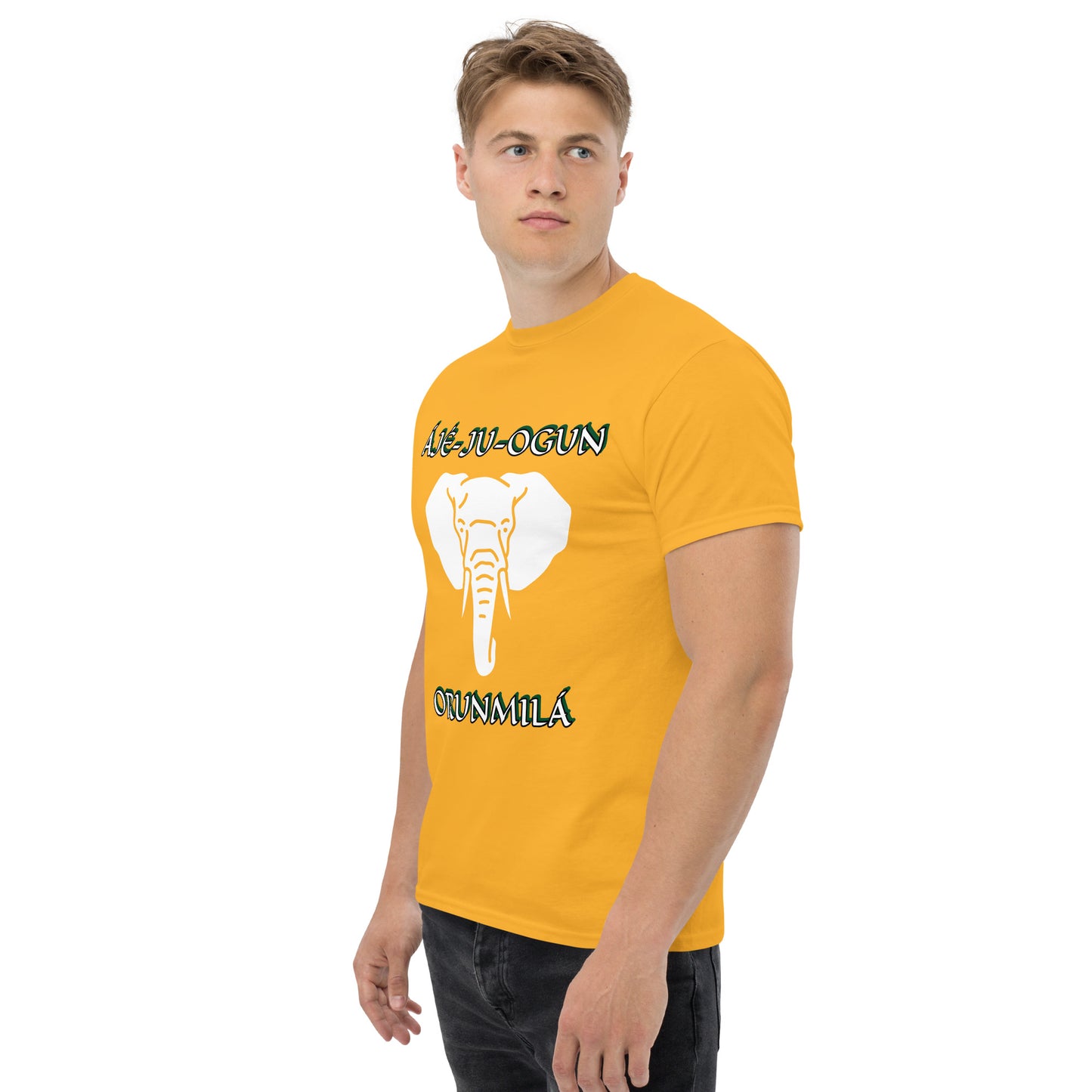 Aje ju Ogun 2 Orunmila Unisex classic tee