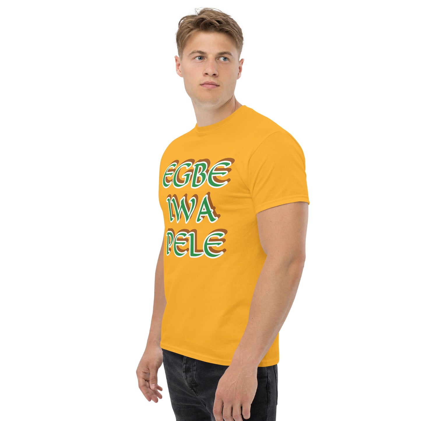 Egbe Iwa Pele Puerto Rico Egbe Unisex classic tee