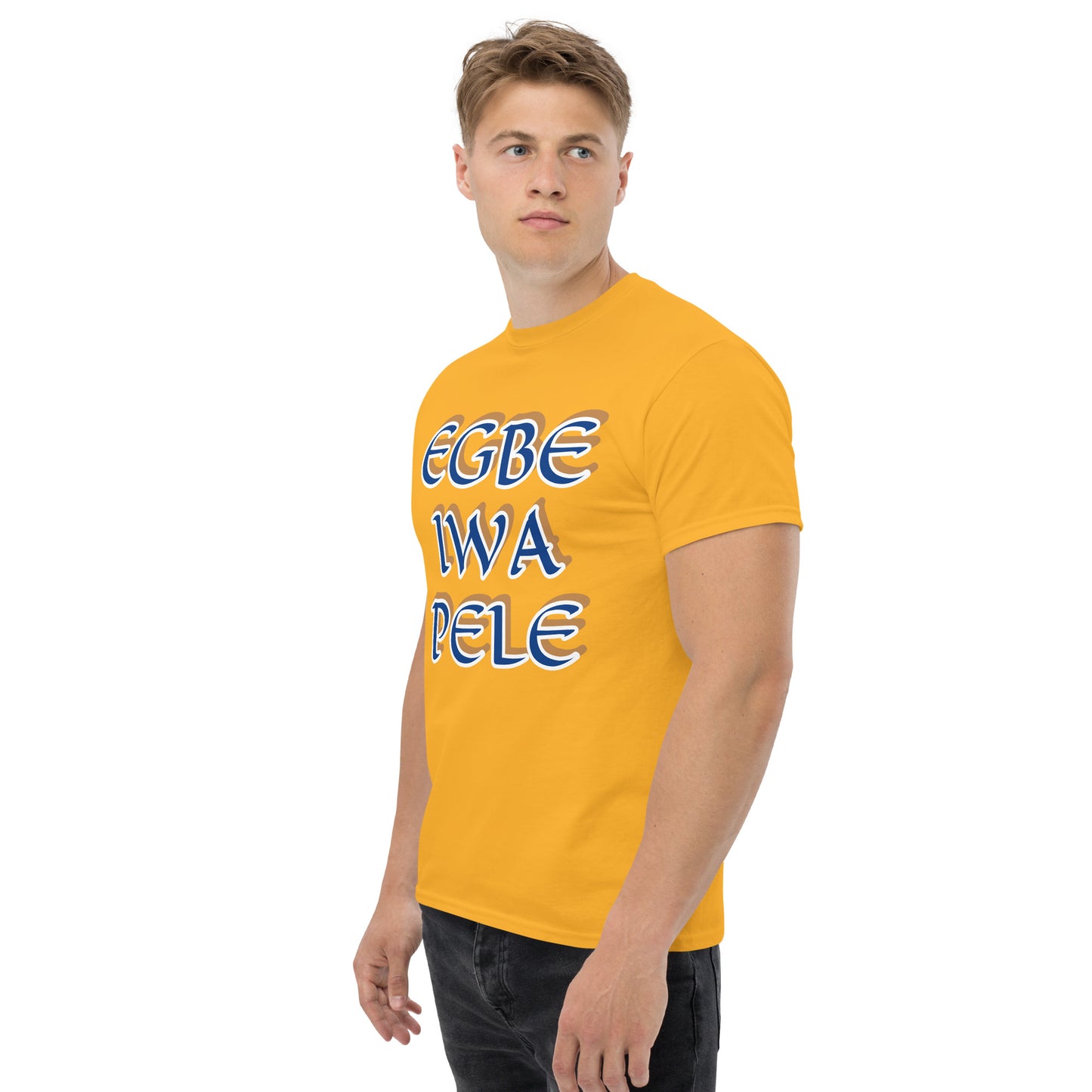 Egbe Iwa Pele Àwo Men’s Group alternate Unisex classic tee