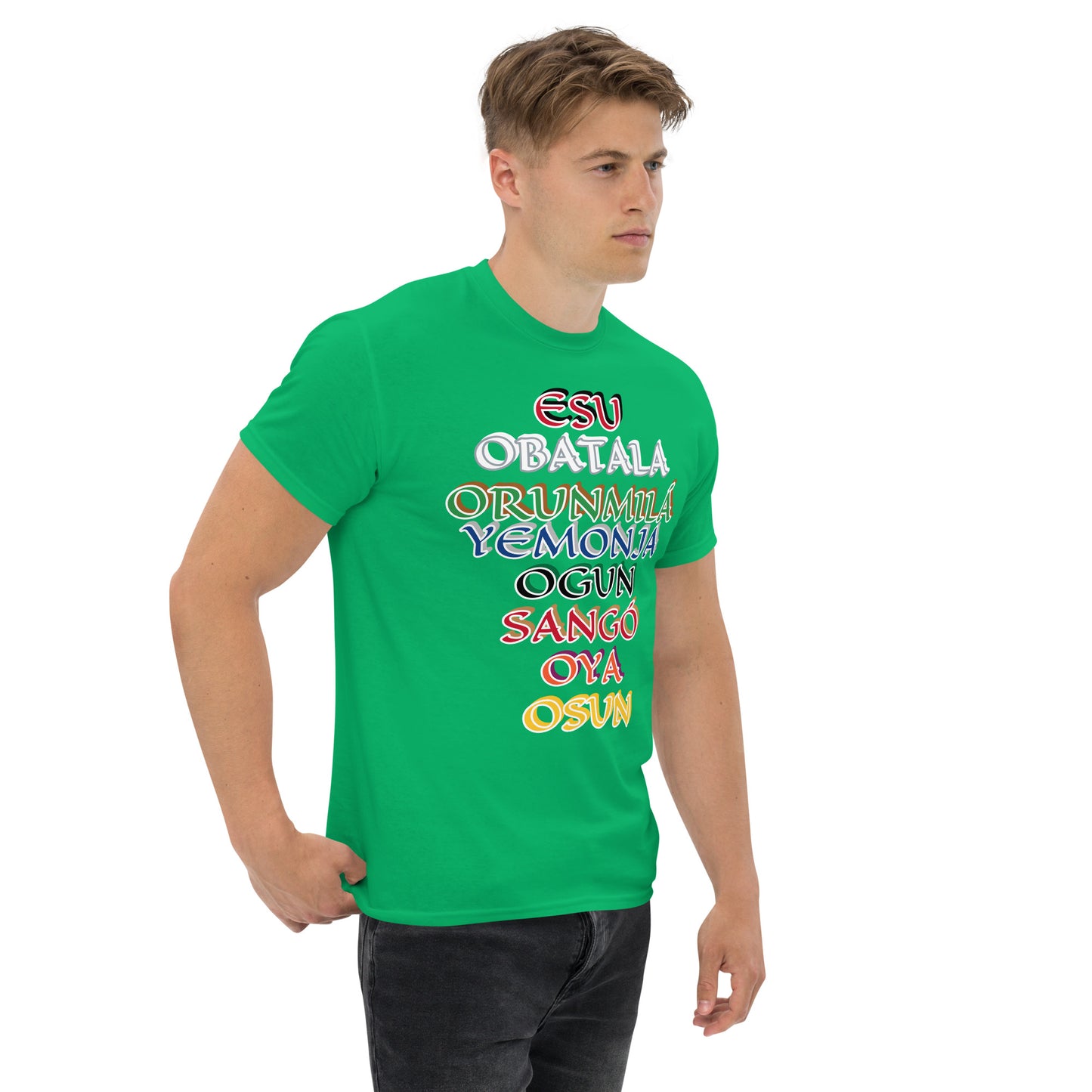 Orisa Hierarchy Unisex classic tee