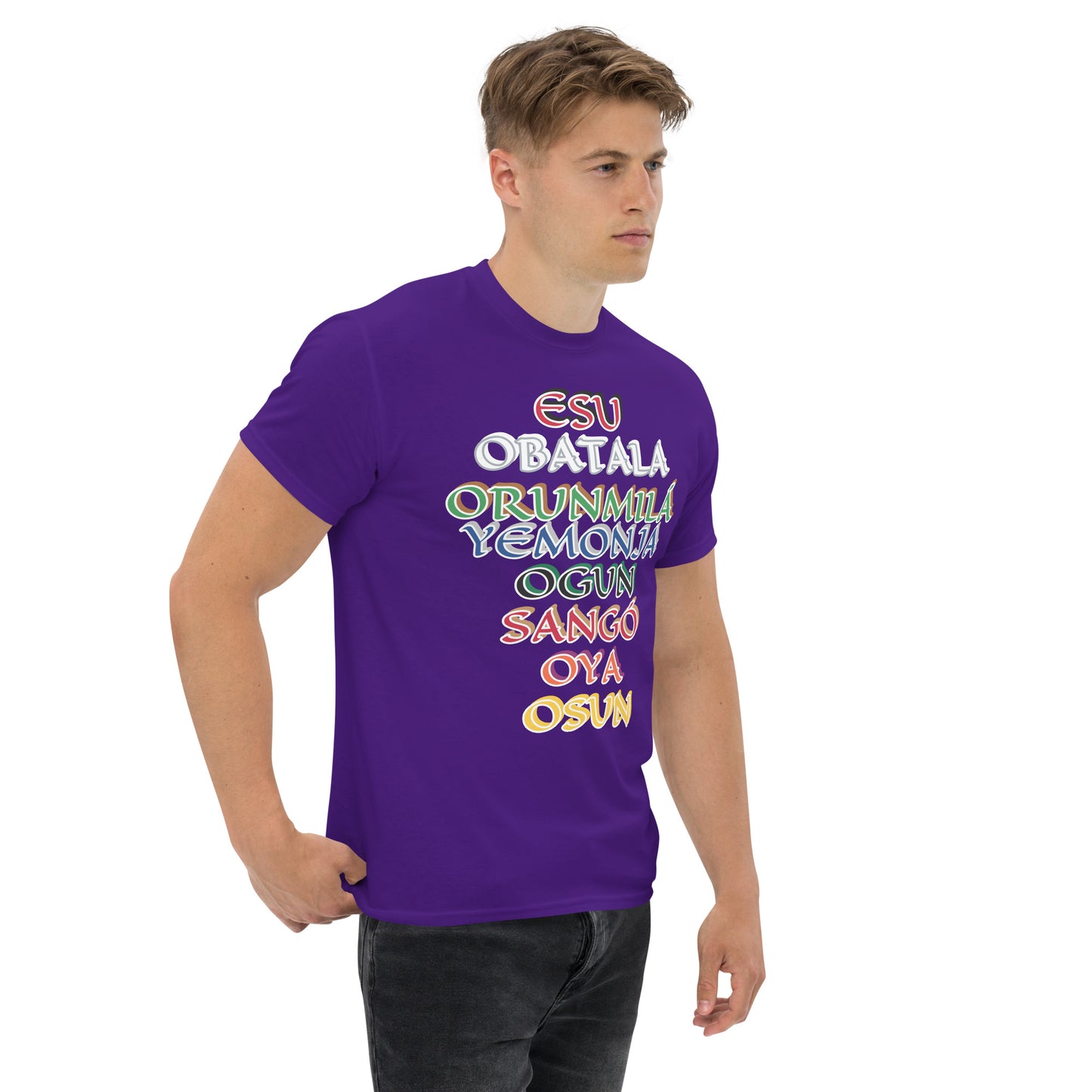 Orisa Hierarchy Unisex classic tee