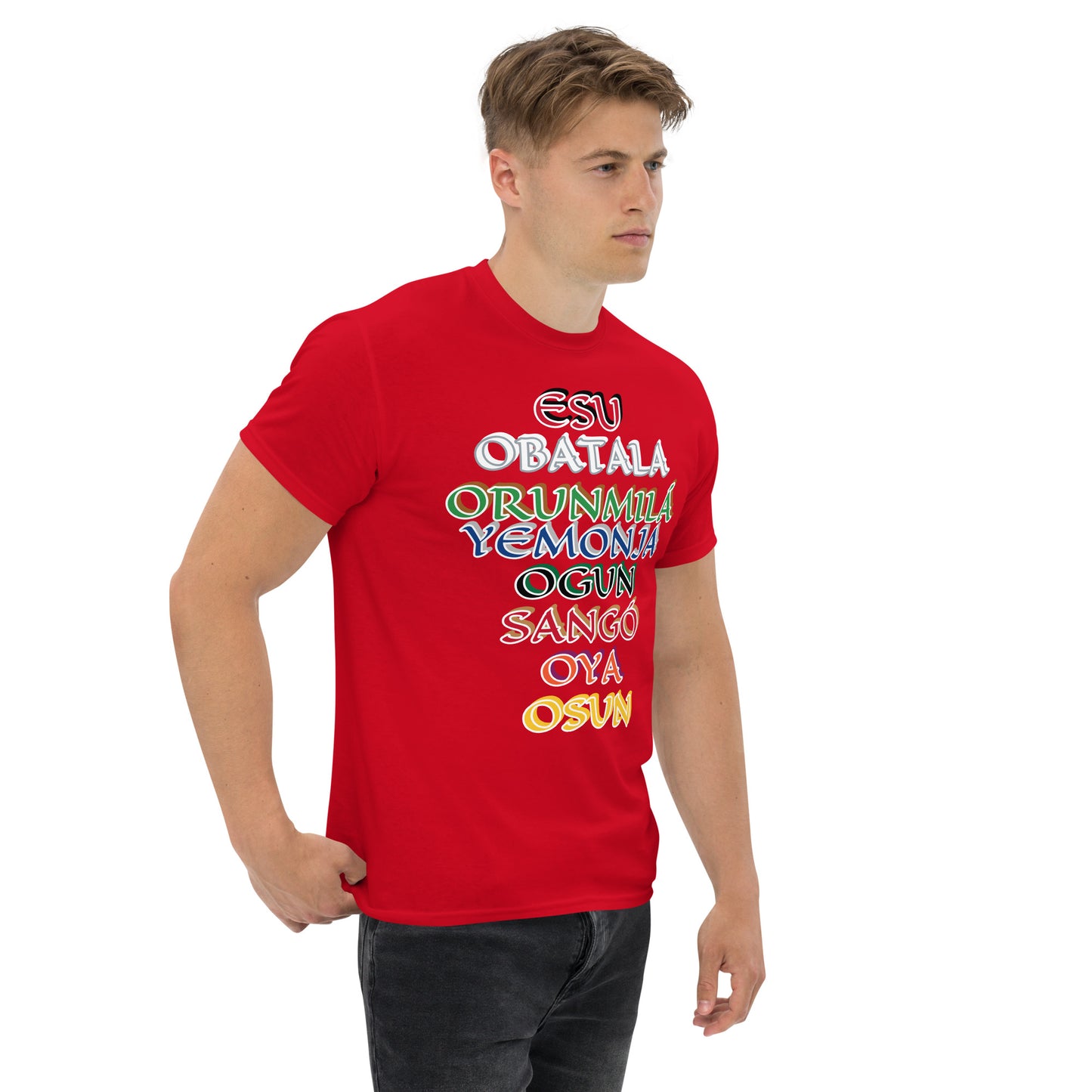 Orisa Hierarchy Unisex classic tee