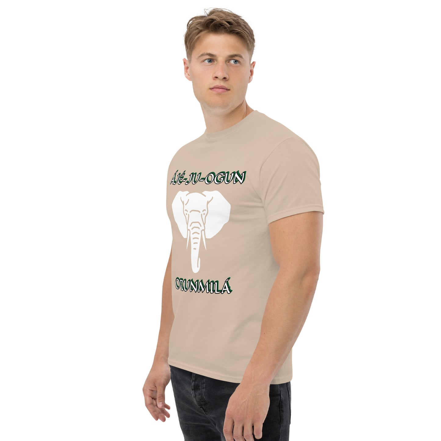 Aje ju Ogun 2 Orunmila Unisex classic tee