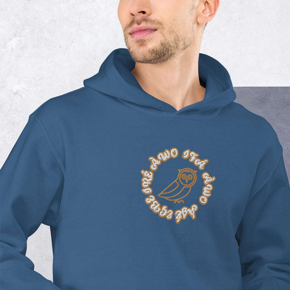 Egbe IRÉ ÀWO IFÁ ÀWO ÀJÉ Embroidered Unisex Hoodie