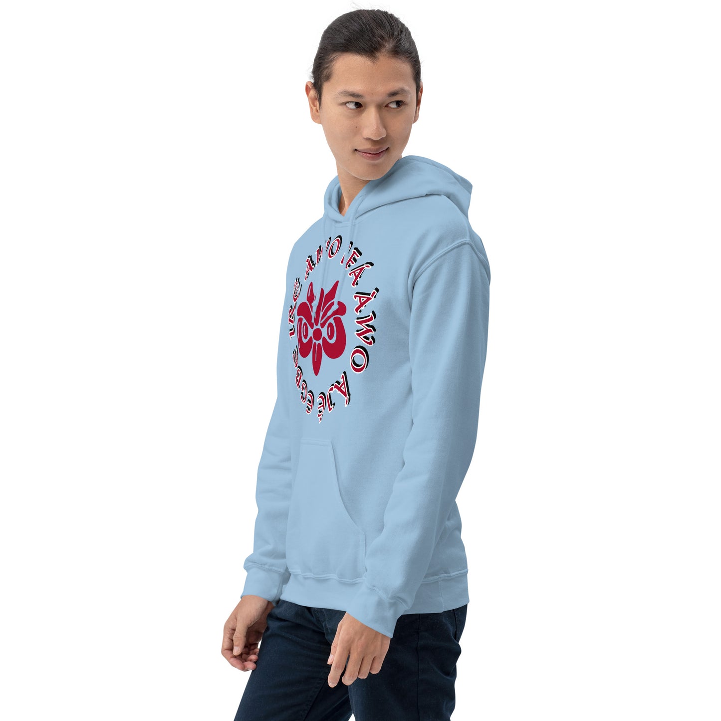 Egbe IRÉ ÀWO IFÁ ÀWO ÀJÉ 2 Unisex Hoodie