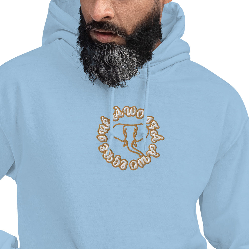 Egbe IRÉ ÀWO IFÁ ÀWO Embroidered Unisex Hoodie