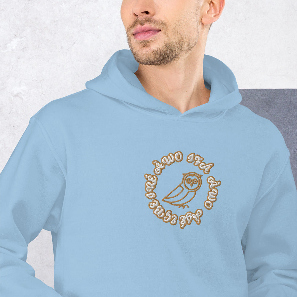 Egbe IRÉ ÀWO IFÁ ÀWO ÀJÉ Embroidered Unisex Hoodie