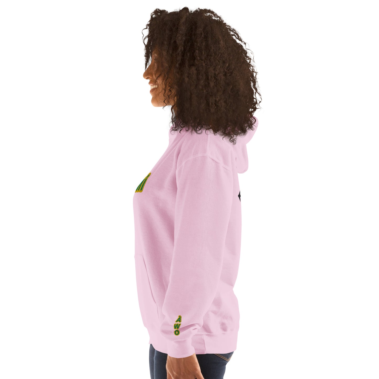 Egbe Iré ÀWO Logo Iyaami Ájé embroidered IFA Awo Lucumi Unisex Hoodie