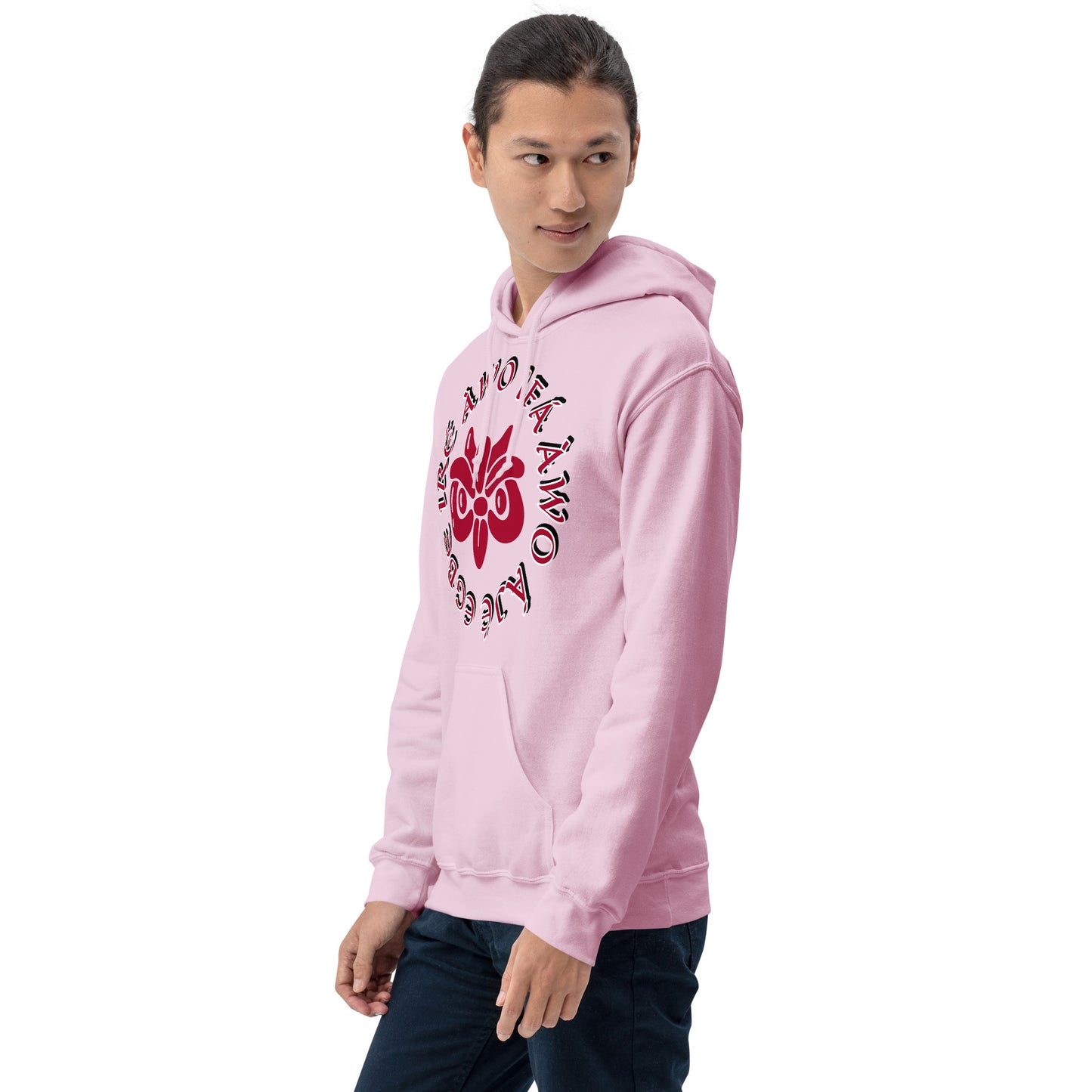 Egbe IRÉ ÀWO IFÁ ÀWO ÀJÉ 2 Unisex Hoodie