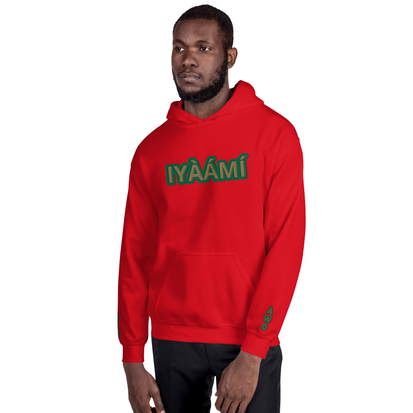 Egbe Iré ÀWO Logo Iyaami Ájé embroidered IFA Awo  Isese Reverse Hoodie