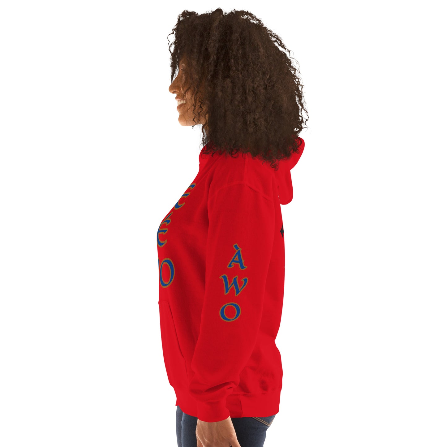 Egbe Ire Awo 2 Logo Blue Unisex Hoodie