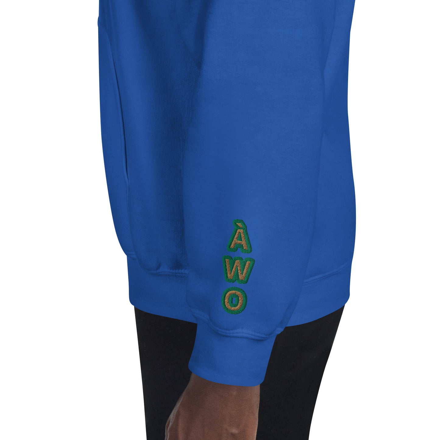 Egbe Iré ÀWO Logo Iyaami Ájé embroidered IFA Awo  Isese Reverse Hoodie