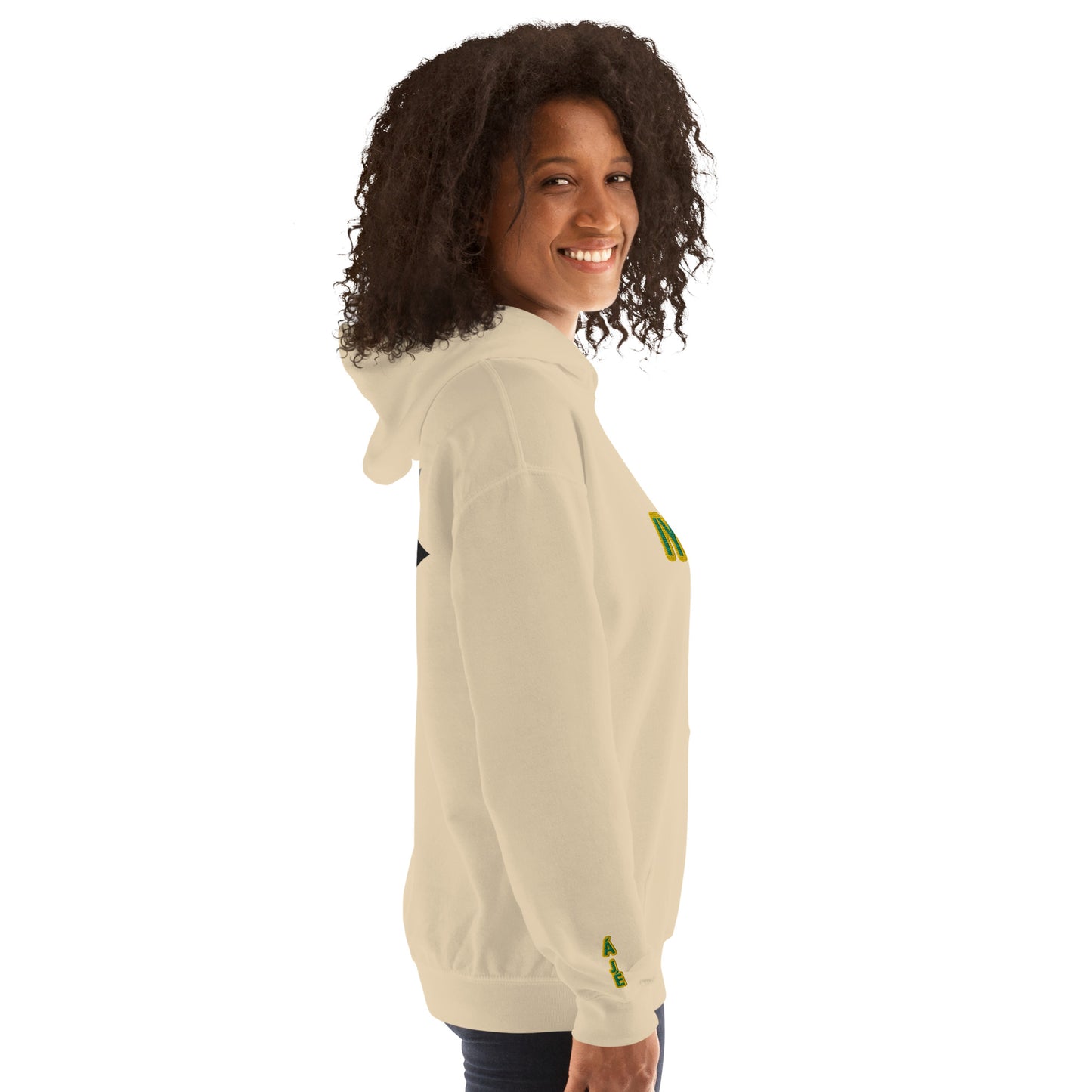 Egbe Iré ÀWO Logo Iyaami Ájé embroidered IFA Awo Lucumi Unisex Hoodie