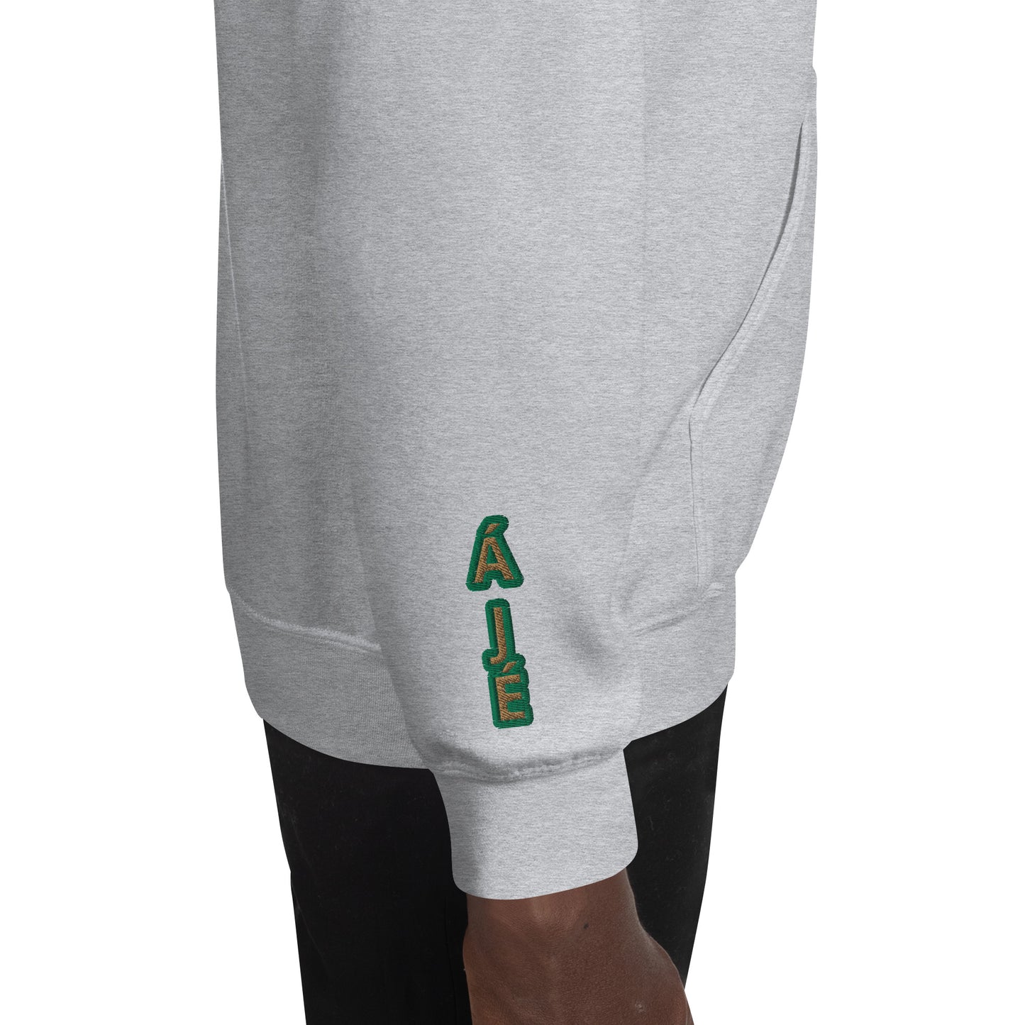 Egbe Iré ÀWO Logo Iyaami Ájé embroidered IFA Awo  Isese Reverse Hoodie