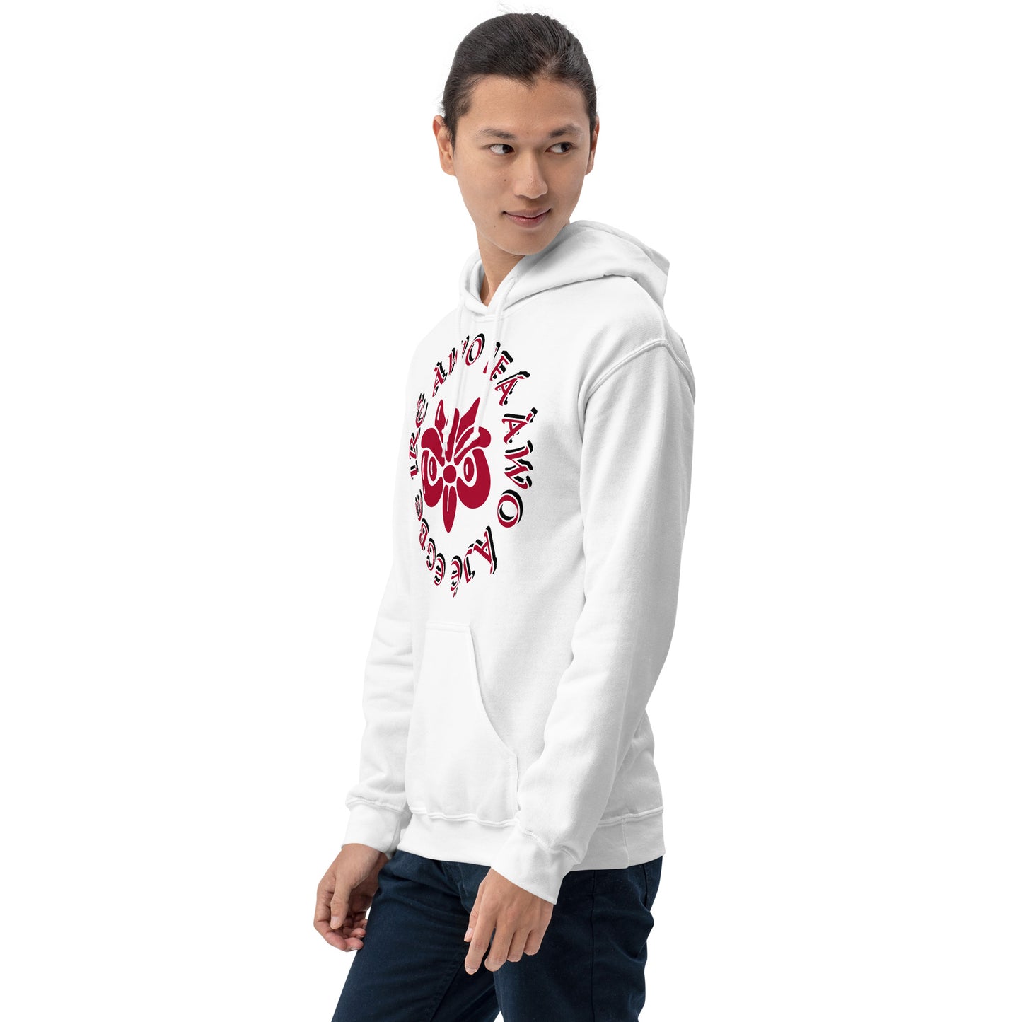 Egbe IRÉ ÀWO IFÁ ÀWO ÀJÉ 2 Unisex Hoodie