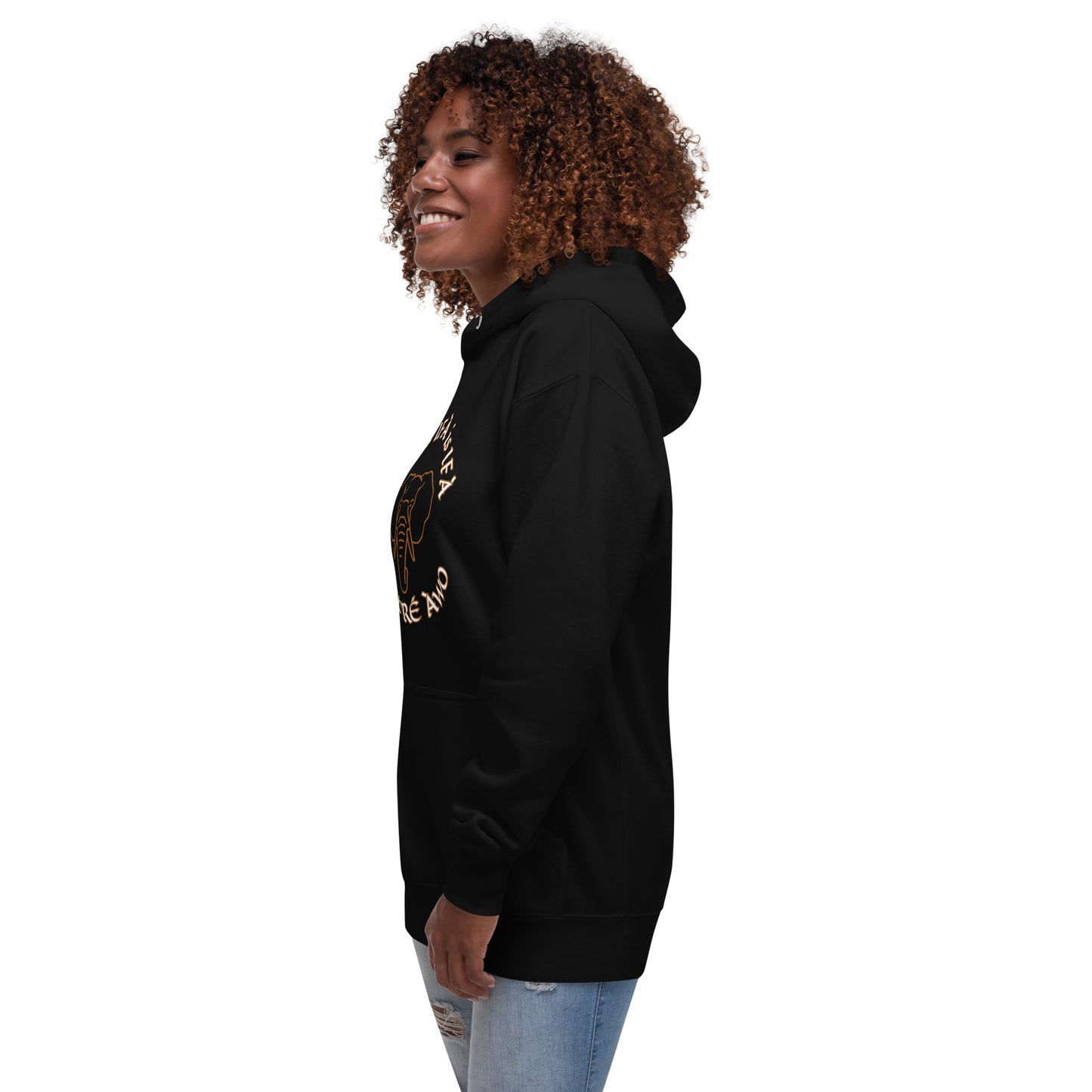 Egbe Ifa is Ifa is Ifa Premium Unisex Hoodie