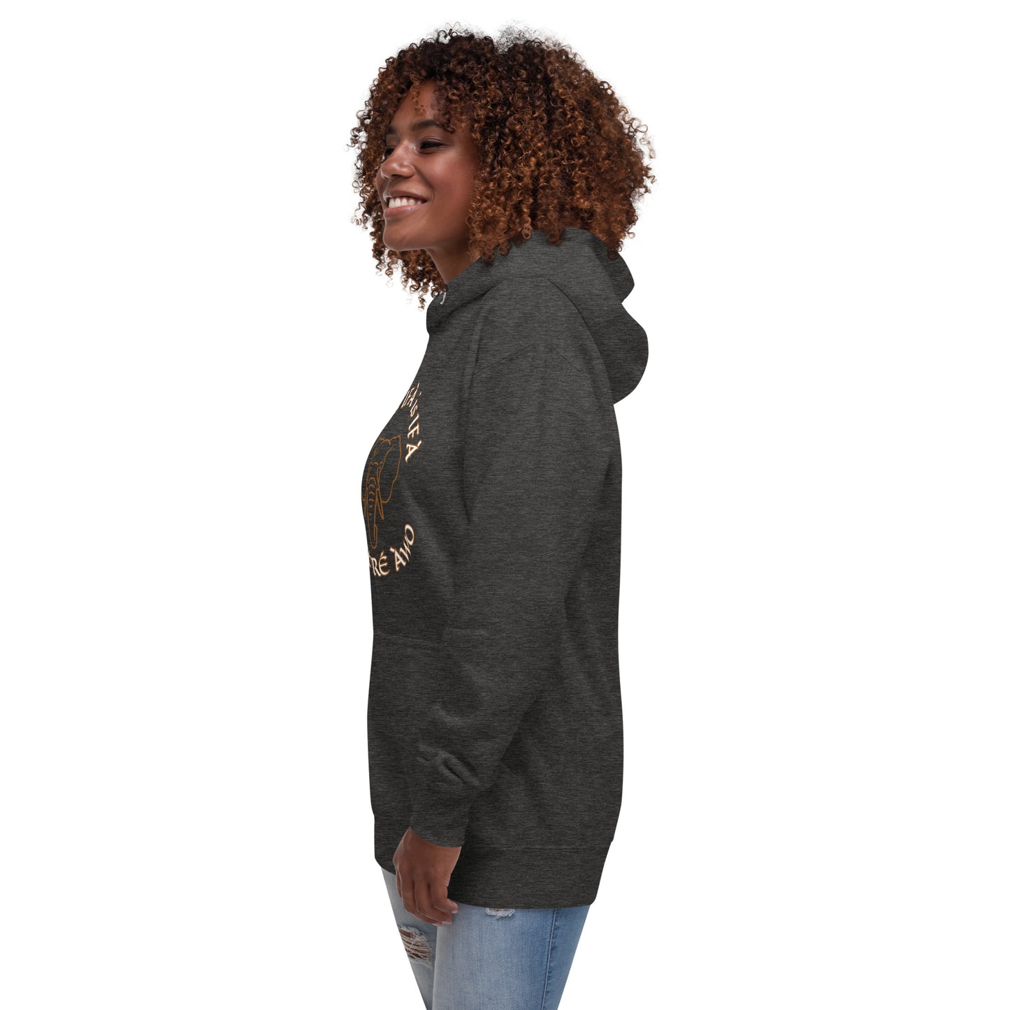 Egbe Ifa is Ifa is Ifa Premium Unisex Hoodie