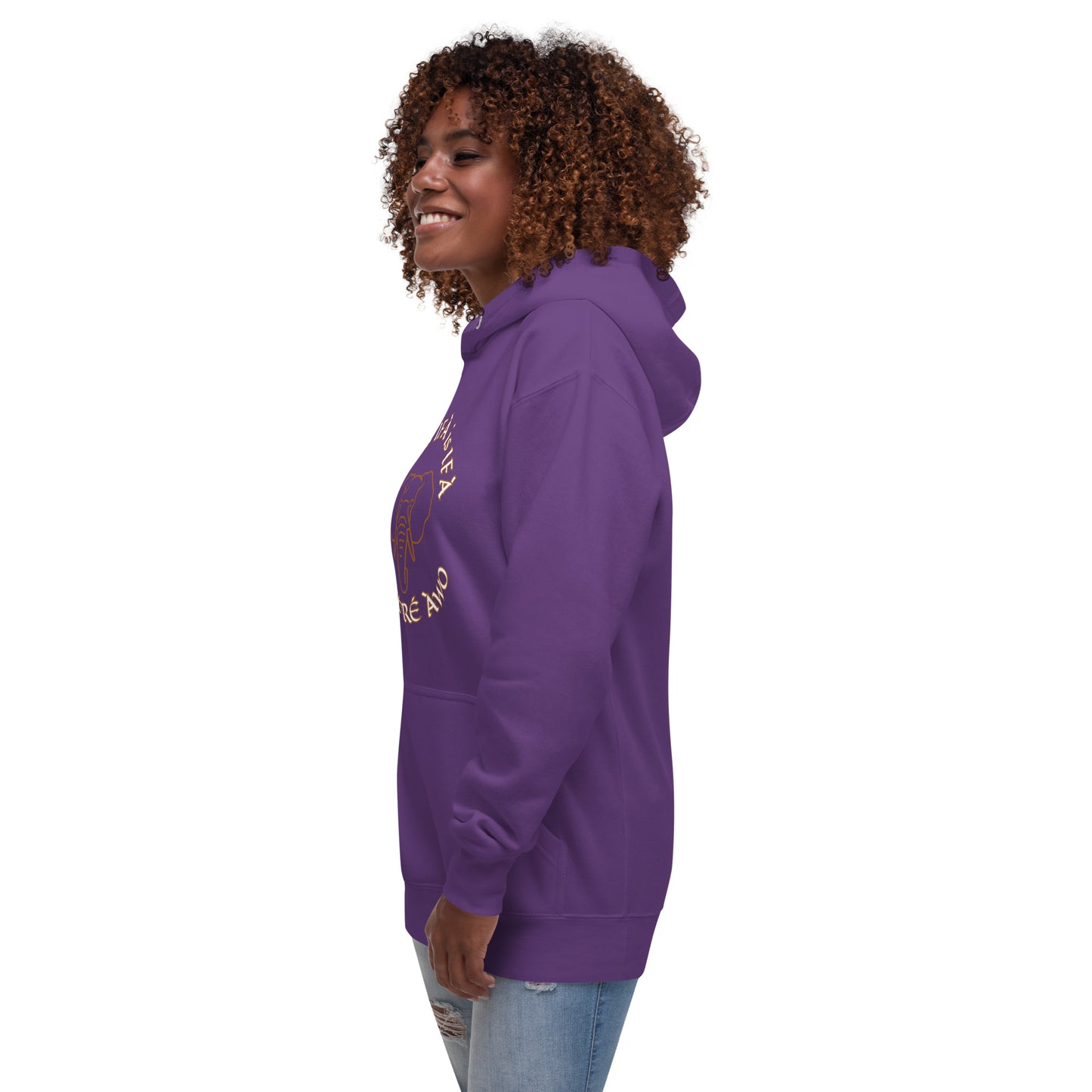 Egbe Ifa is Ifa is Ifa Premium Unisex Hoodie