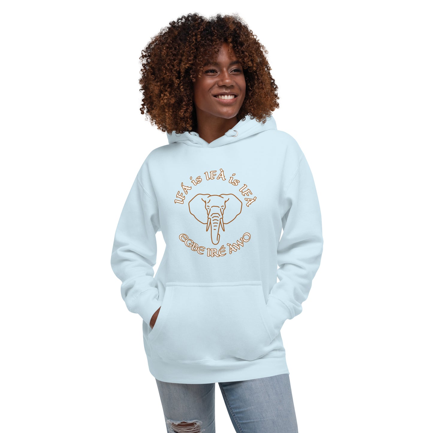 Egbe Ifa is Ifa is Ifa Premium Unisex Hoodie