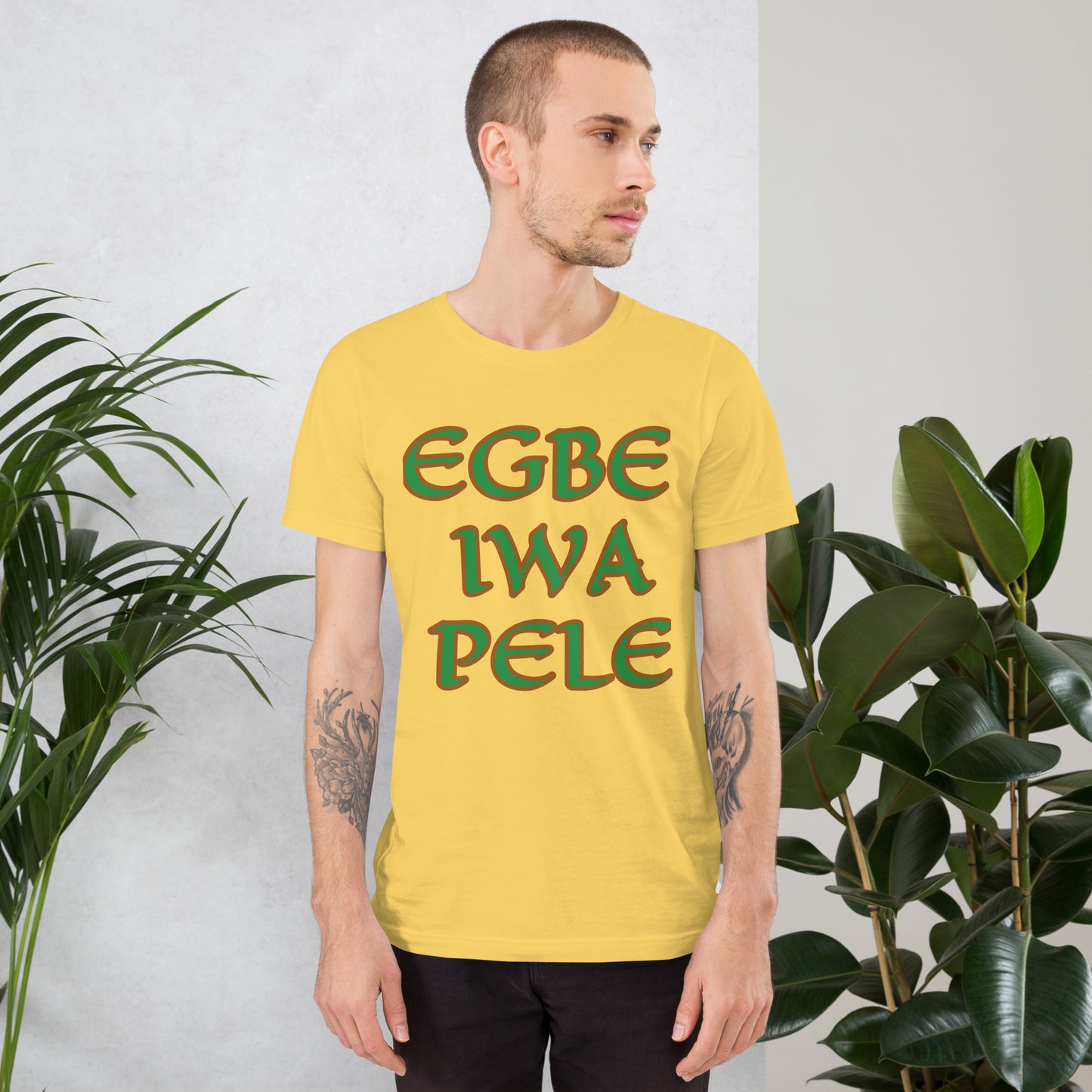 Egbe Iwa Pele New York Unisex t-shirt